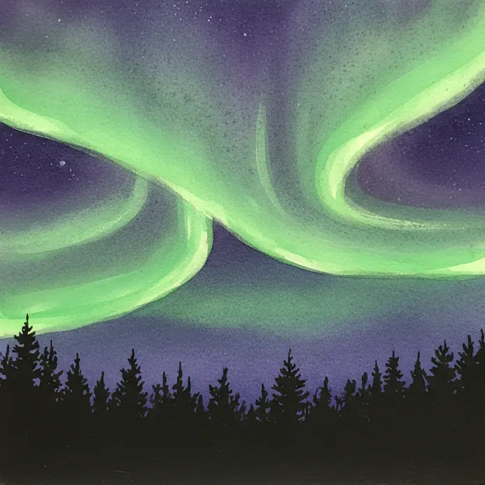 Long, flowing bands of green aurora light over a silhouette of a pine forest.