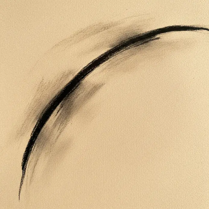 A confident, sweeping charcoal line drawn in one gesture on a textured paper surface.