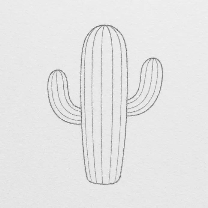 A clean pencil drawing of a cactus with a main body, two arms, and visible rib lines, with all light guide shapes erased.