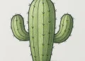 How To Draw A Cactus