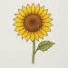 How To Draw A Sunflower