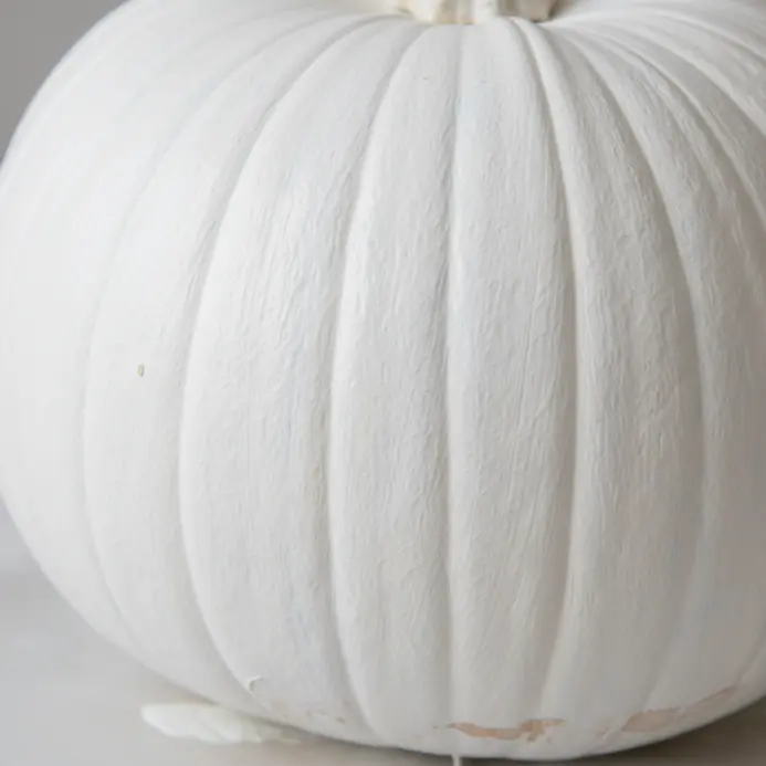 A pumpkin coated in a smooth, even layer of white primer paint.