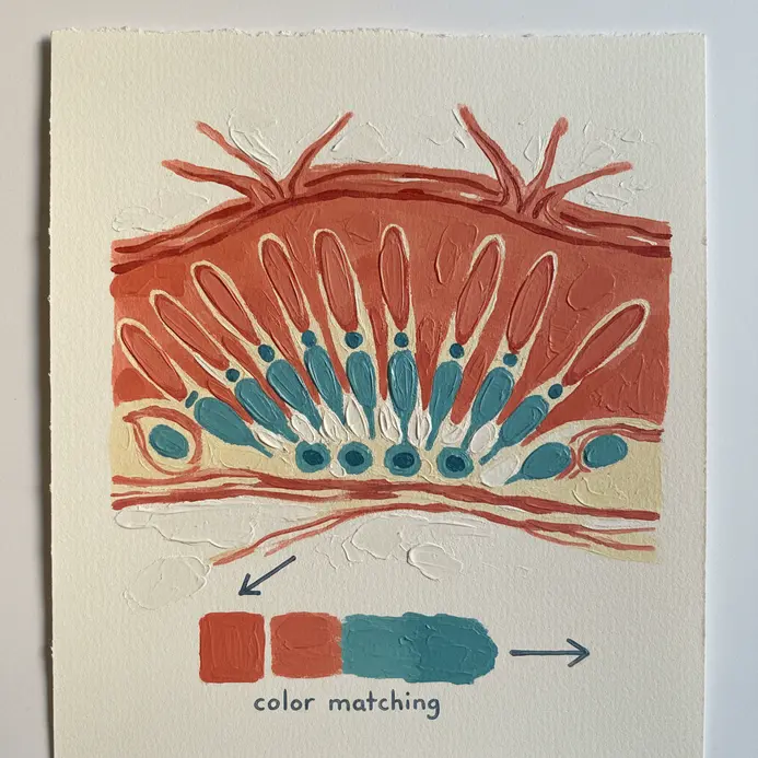 A biological diagram of the human eye with the retina, rods, and cones clearly labeled and illuminated.