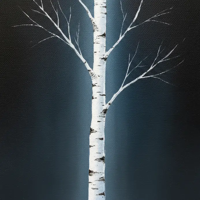 A birch tree with a bright white trunk standing out against a deep, dark color.