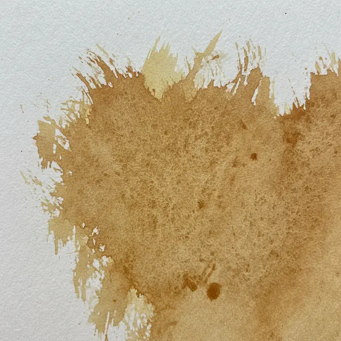 A dry brush dragging burnt sienna pigment, leaving a broken, scratchy line on rough paper.