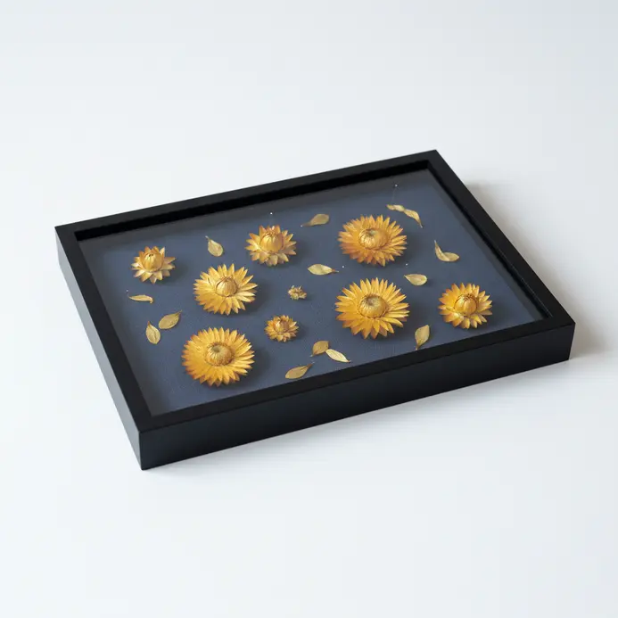 A rectangular shadow box with a navy fabric backing, showcasing a delicate arrangement of dried strawflowers and seed pods.