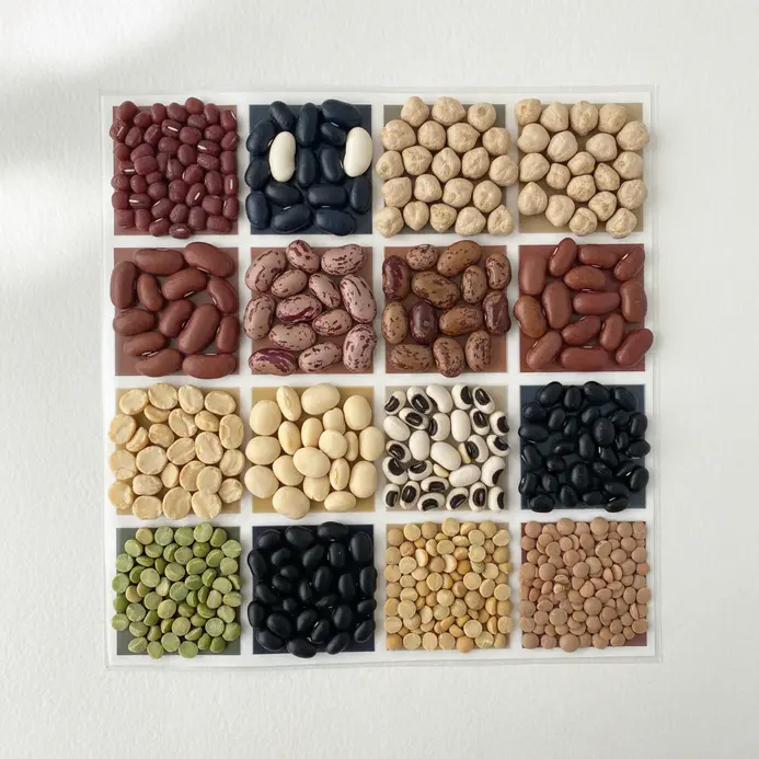A laminated sorting mat shows ten cups, each filled with 10 different types of dried beans.