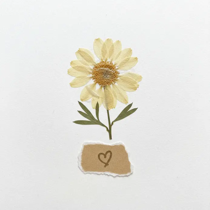 A single pressed daisy adhered to a scrapbook page with a small handwritten date label beneath it.