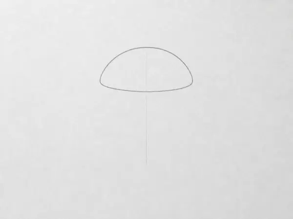 A faint vertical guide line with a light pencil outline of a shallow dome or umbrella shape sketched around its top.