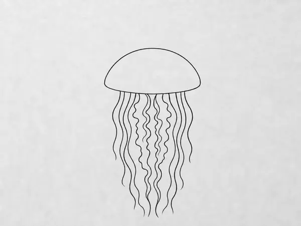 A black ink outline of a jellyfish over a light pencil sketch, showing the dome, oral arms, and flowing tentacles.