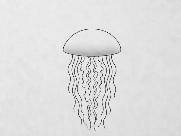 An inked jellyfish drawing with soft pencil shading along the lower edge of its dome body to create a sense of depth and volume.