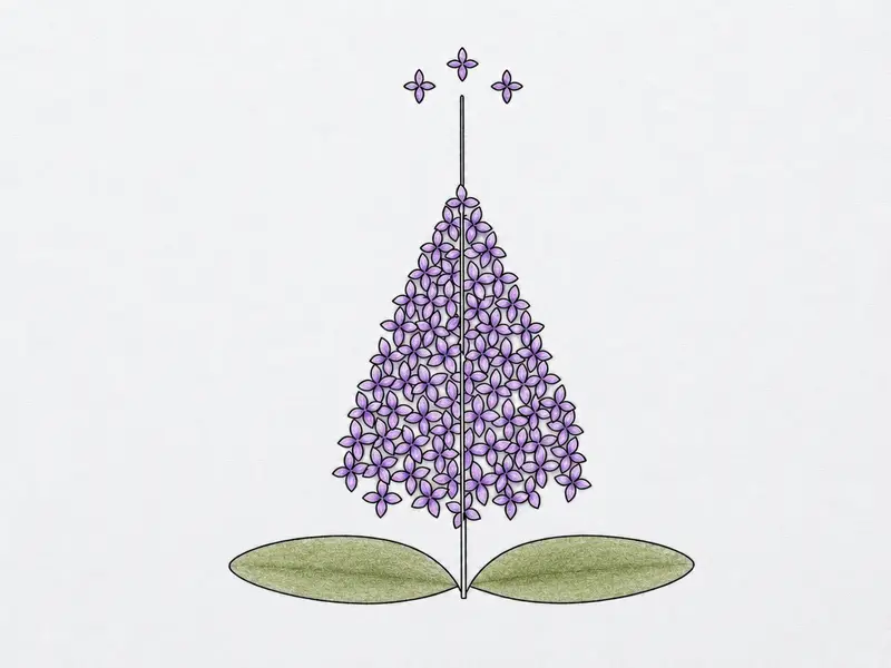 A finished lilac drawing inked and shaded, with vibrant layers of violet color applied to the flower cluster and green to the leaves.