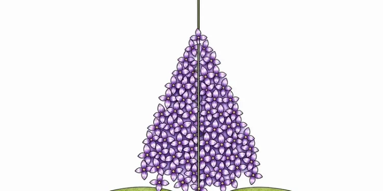 How To Draw A Lilac