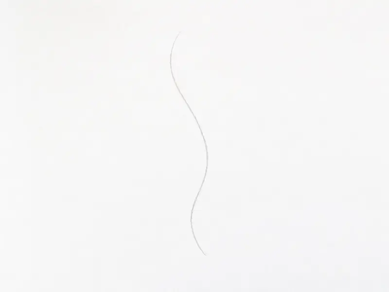 A light pencil 'S' curve drawn down the center of a white page.