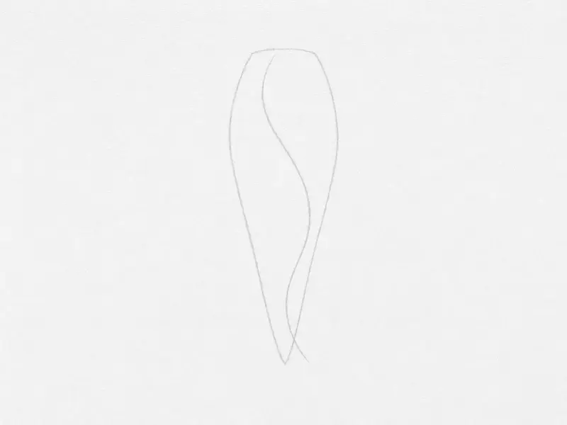 A light pencil 'S' curve with a tapered tail shape sketched around it.