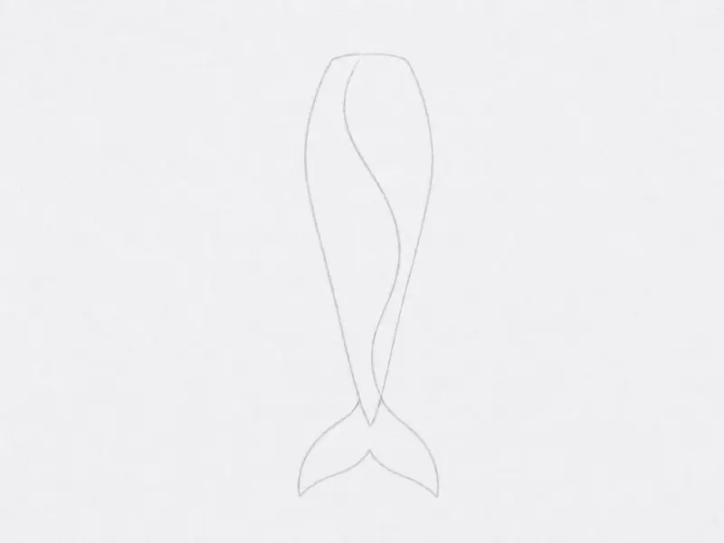 A light pencil sketch showing the full tail shape with a wide, fan-like fin at the bottom.