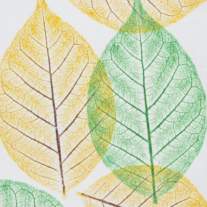 A child rubs a crayon over paper placed on a large leaf.