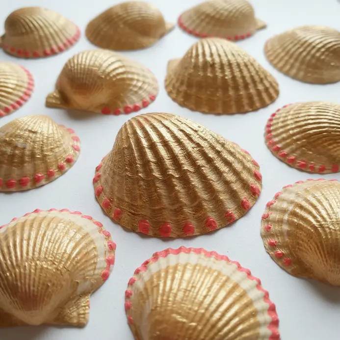 Small seashells painted gold and pink are glued around a picture frame.