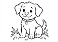Animal Coloring Pages