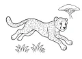 Cheetah Coloring Pages