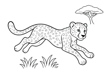 Cheetah Coloring Pages