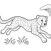 Cheetah Coloring Pages