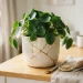 Flower Pot Restoration Ideas