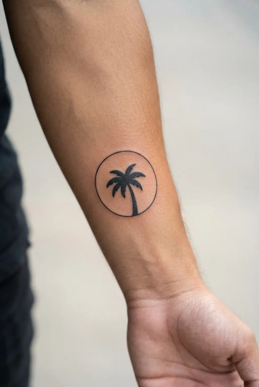 Palm tree tattoo ideas showing a solid palm silhouette inside a thin sun circle on the forearm.