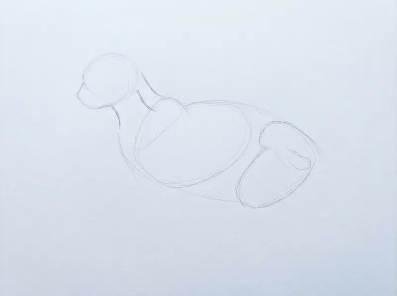 Light pencil ovals show the cat’s round head and elongated body on white drawing paper.