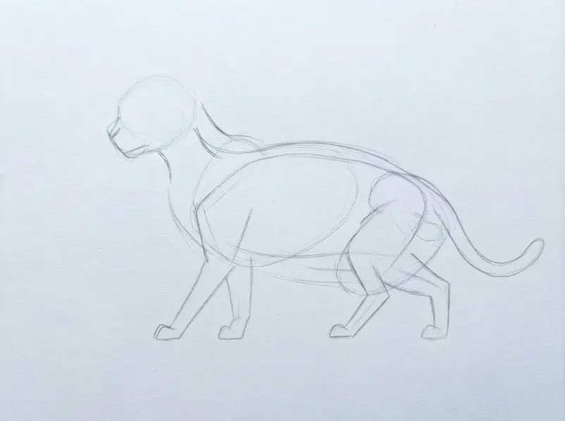 Light pencil ovals now include two pointed ears and a small muzzle circle on the cat.