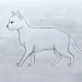 How To Draw A Cat