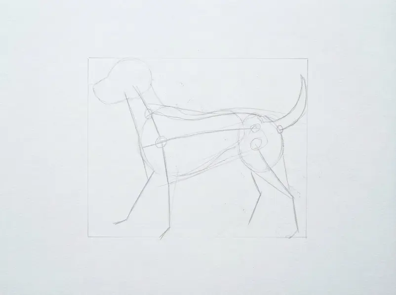 Light center guidelines now sit beside a large pencil oval that marks the dog’s main body shape.