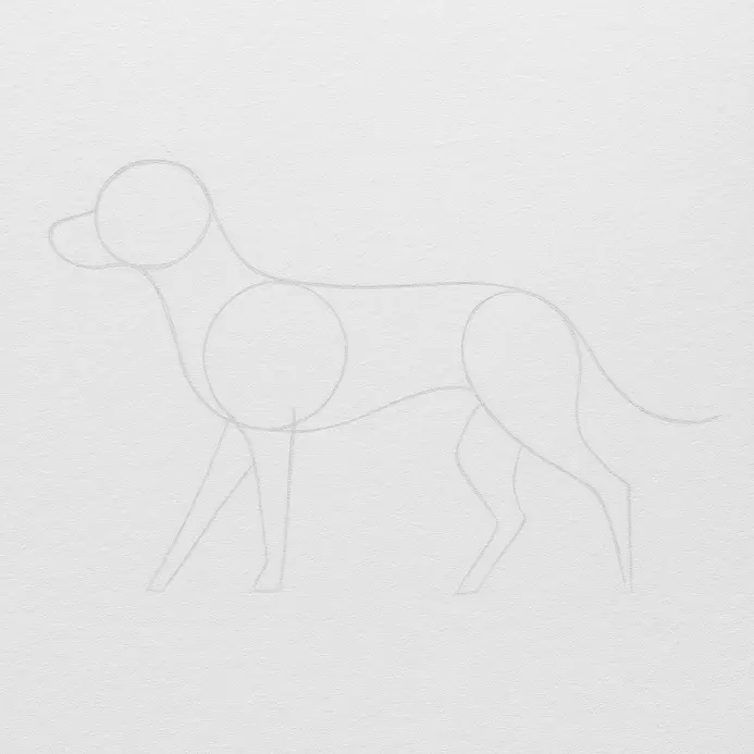 Light pencil ovals for the head and body now include leg and tail guide lines.
