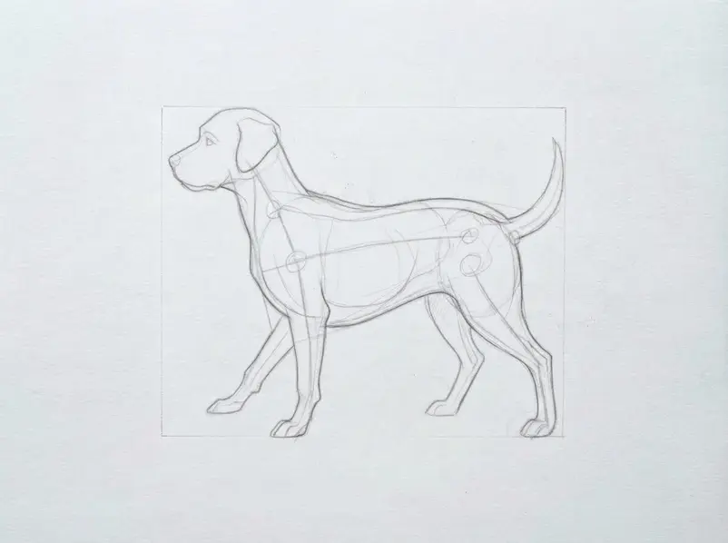 The dog sketch now shows center guides, a body oval, a rounded head, and a simple muzzle in pencil.
