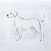 How To Draw A Dog