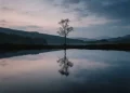 Reflection Photography Ideas