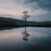 Reflection Photography Ideas