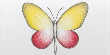 How To Draw A Butterfly